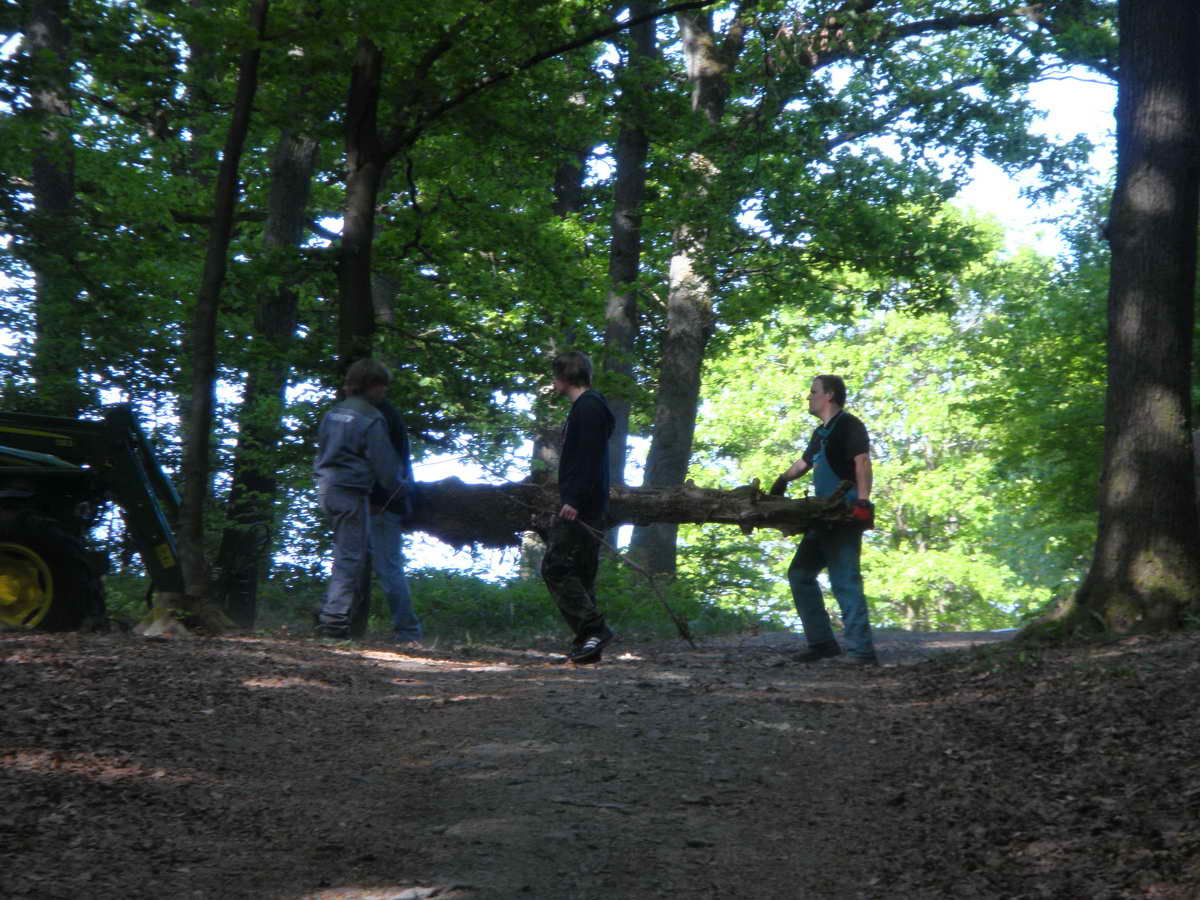 2011-05-07 KPF Wald 22.jpg